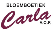 Naar de startpagina